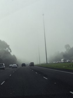 20250730_091831.jpg