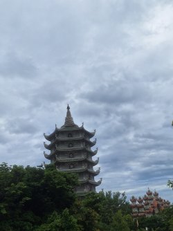 20250726_132116.jpg