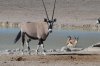 DSC_3848.jpg