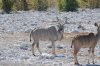 DSC_3902.jpg
