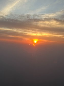 IMG_2158.jpeg