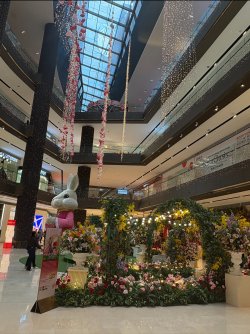 IMG_2178.jpeg