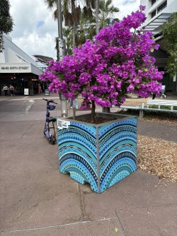 IMG_1896.jpg