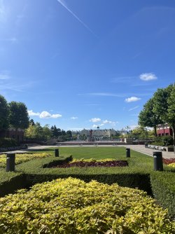 IMG_8532.jpeg