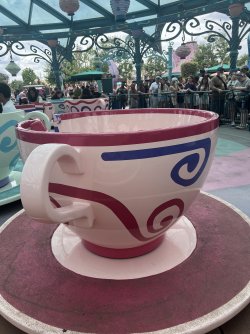 IMG_8549.jpeg