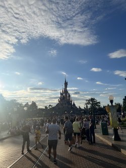 IMG_8589.jpeg