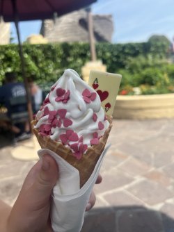 IMG_8634.jpeg