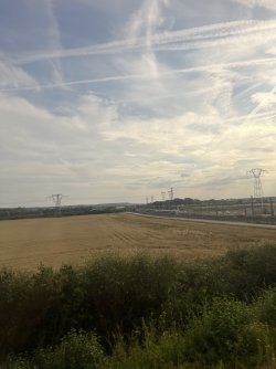 IMG_8646.jpeg