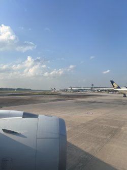 IMG_8680.jpeg