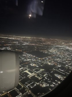 IMG_8687.jpeg