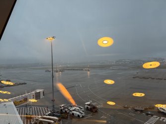 IMG_9687.jpeg
