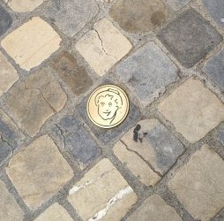 na33.jpg