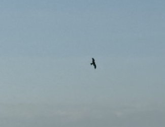 IMG_1839.jpg