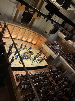 IMG_7509.jpeg