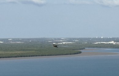 IMG_1867.jpg
