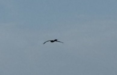 IMG_1870.jpg