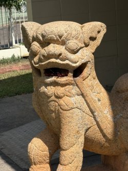 IMG_1925.jpg