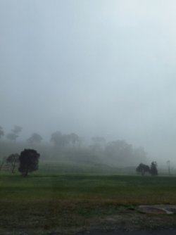 20250803_093826.jpg