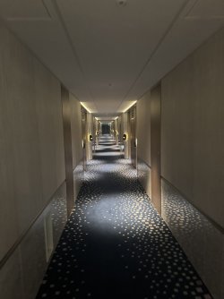 IMG_9778.JPEG