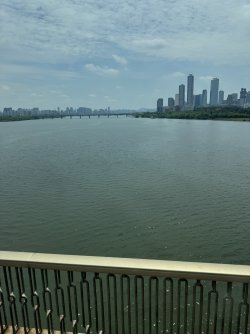 IMG_9801.JPEG