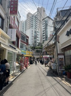 IMG_9812.JPEG