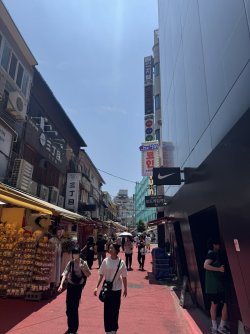 IMG_9813.JPEG