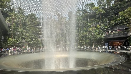 IMG_6418.jpeg