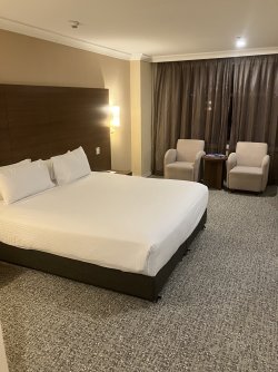 IMG_0484.jpeg