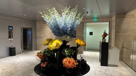 IMG_6499.JPEG