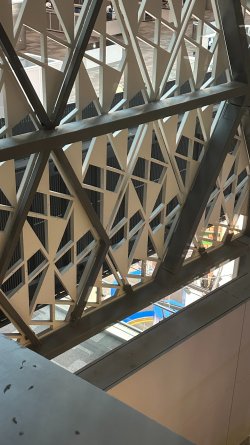 IMG_6506.JPEG