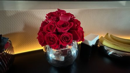 IMG_6528.JPEG