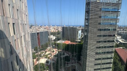 IMG_6568.JPEG
