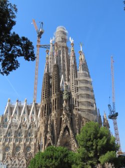 IMG_9715.JPG