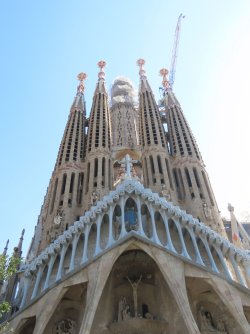 IMG_9696.JPG