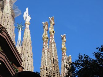 IMG_9664.JPG