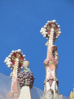 IMG_9666.JPG