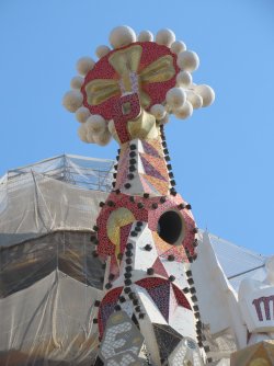 IMG_9706.JPG
