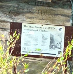 IMG_8458.jpeg