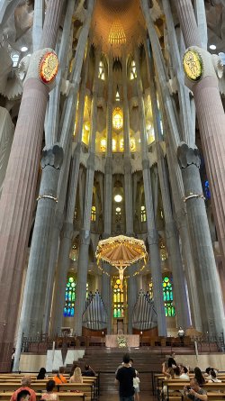 IMG_6598.JPEG