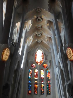 IMG_9723.JPG
