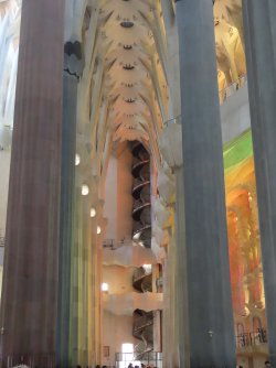 IMG_9734.JPG