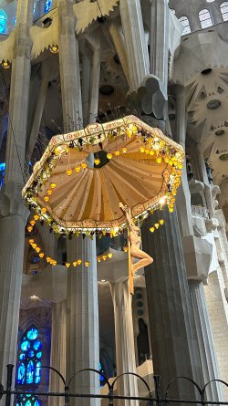 IMG_6607.JPEG