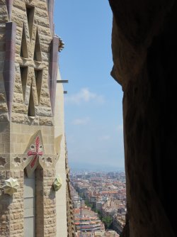 IMG_9739.jpeg