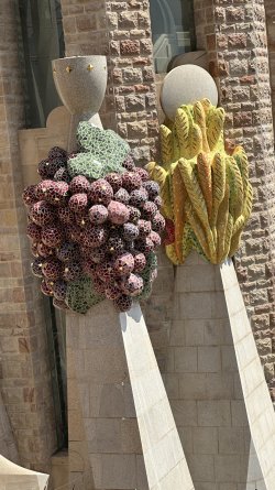 IMG_6624.jpeg