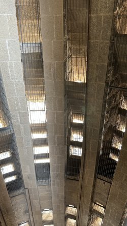 IMG_6613.jpeg