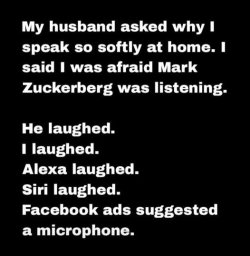 1754907985204.jpeg