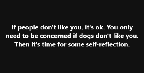 1754961998176.png