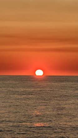 IMG_1260.jpeg