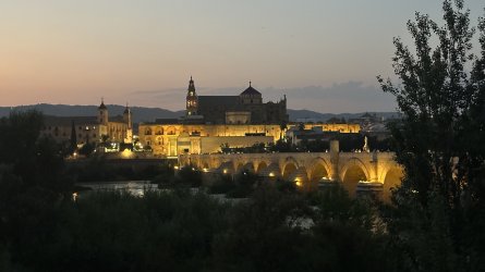 IMG_6984.jpeg