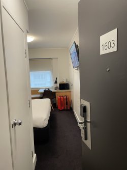 IMG_4764.jpeg
